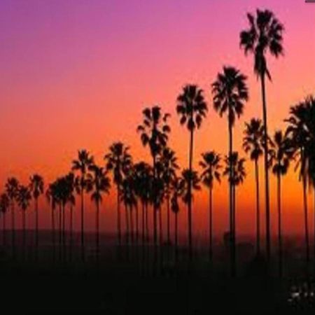 Venice Beach Apartments Monthly Rents Los Angeles Extérieur photo